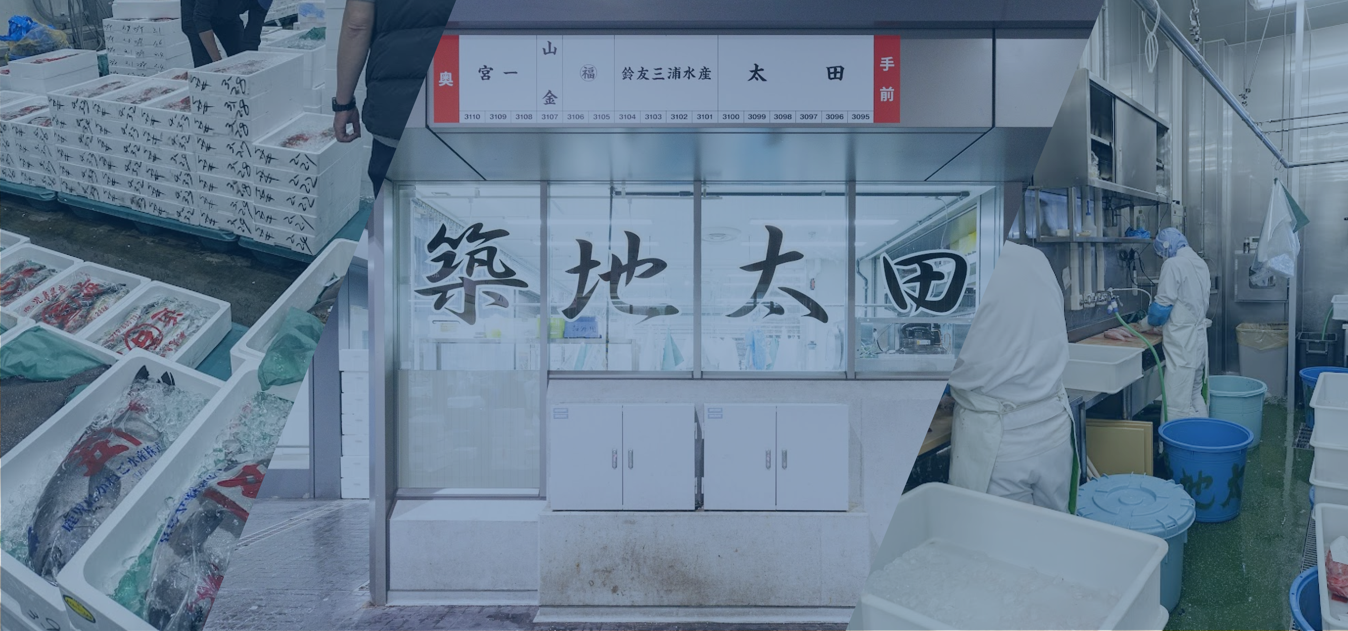 背景画像